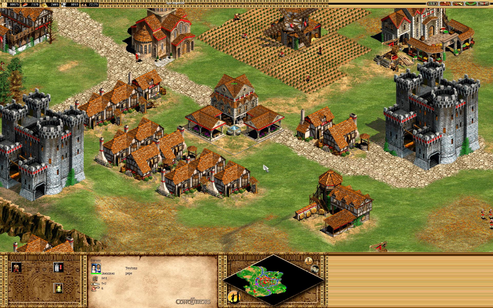 Age Of Empires 2 Conquerors Strategy Wiki