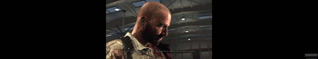 Max Payne 3