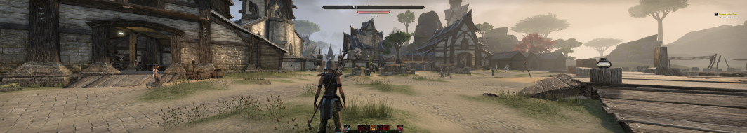 The Elder Scrolls Online