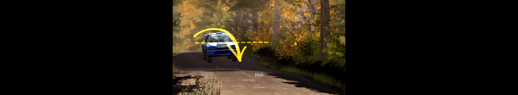 Dirt Rally