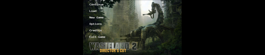 Wasteland 2: Director's Cut