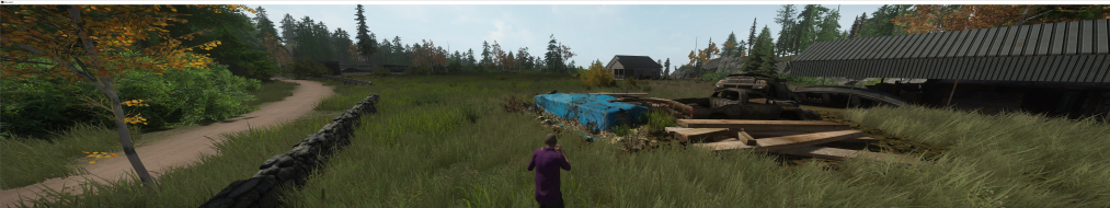 Miscreated