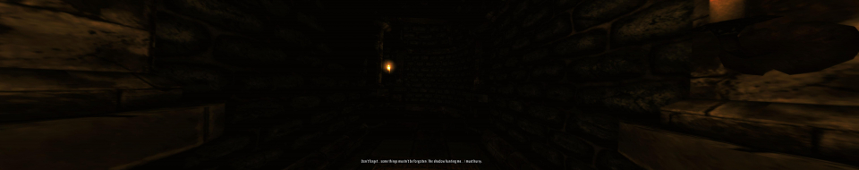 Amnesia: The Dark Descent