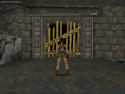 Tomb Raider