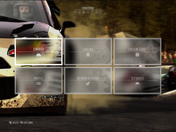 Dirt Rally