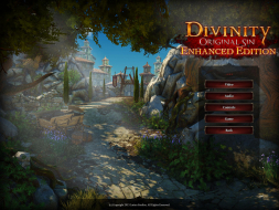 Divinity: Original Sin - Enhanced Edition