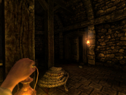 Amnesia: The Dark Descent