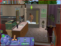 The Sims Life Stories