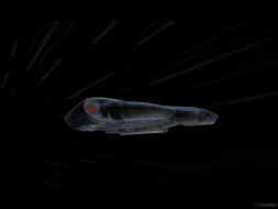 Star Trek: Deep Space Nine - The Fallen