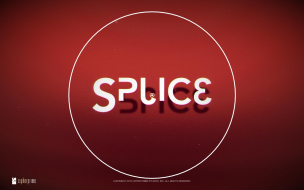 Splice