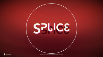 Splice