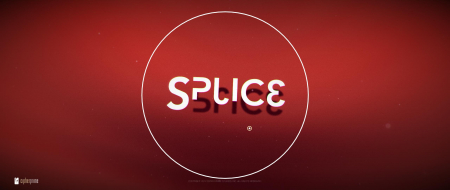 Splice