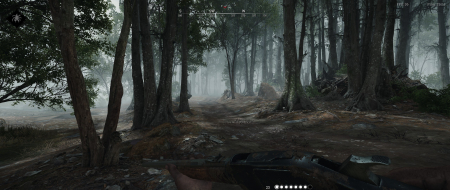 Hunt: Showdown