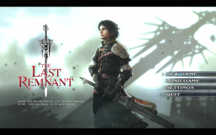 The Last Remnant