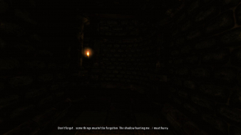 Amnesia: The Dark Descent