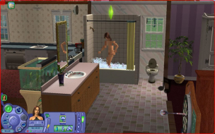 The Sims Life Stories