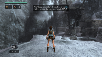 Tomb Raider: Anniversary