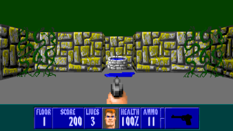 16:9 gameplay