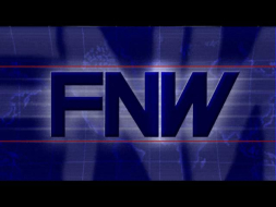 Pre-rendered cut-scenes display in a fixed 640x480 resolution.