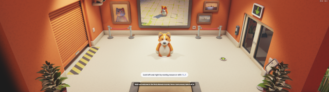 Using Borderless Gaming as a workaround