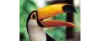 Profile picture for user Gilly