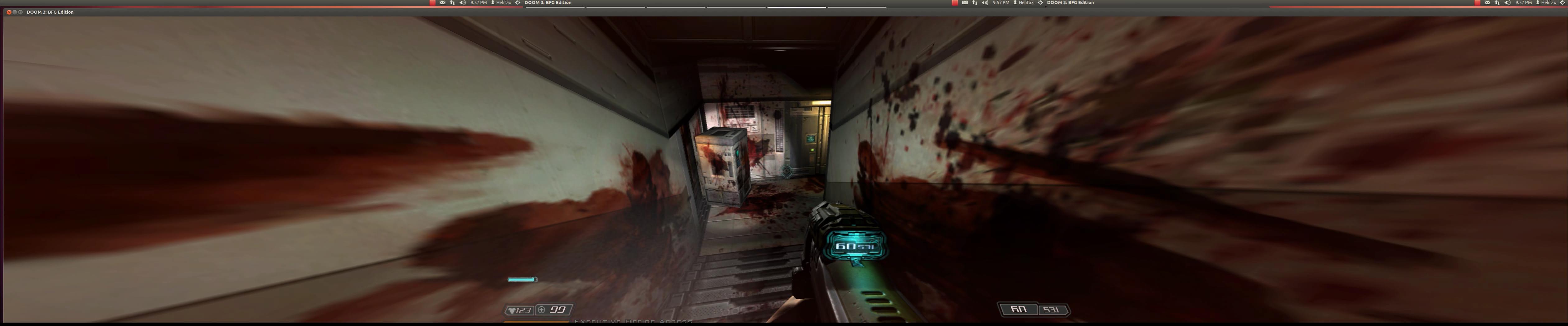Doom3 Centered HUD under Linux