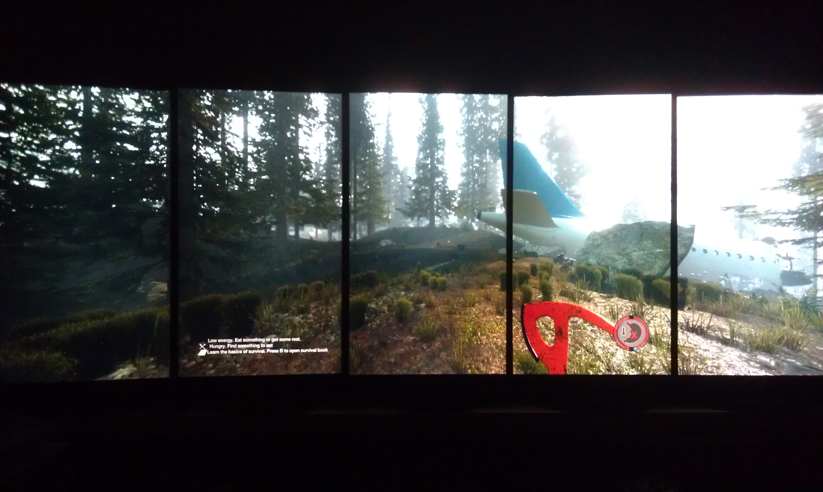 "The Forest" Early Access Game