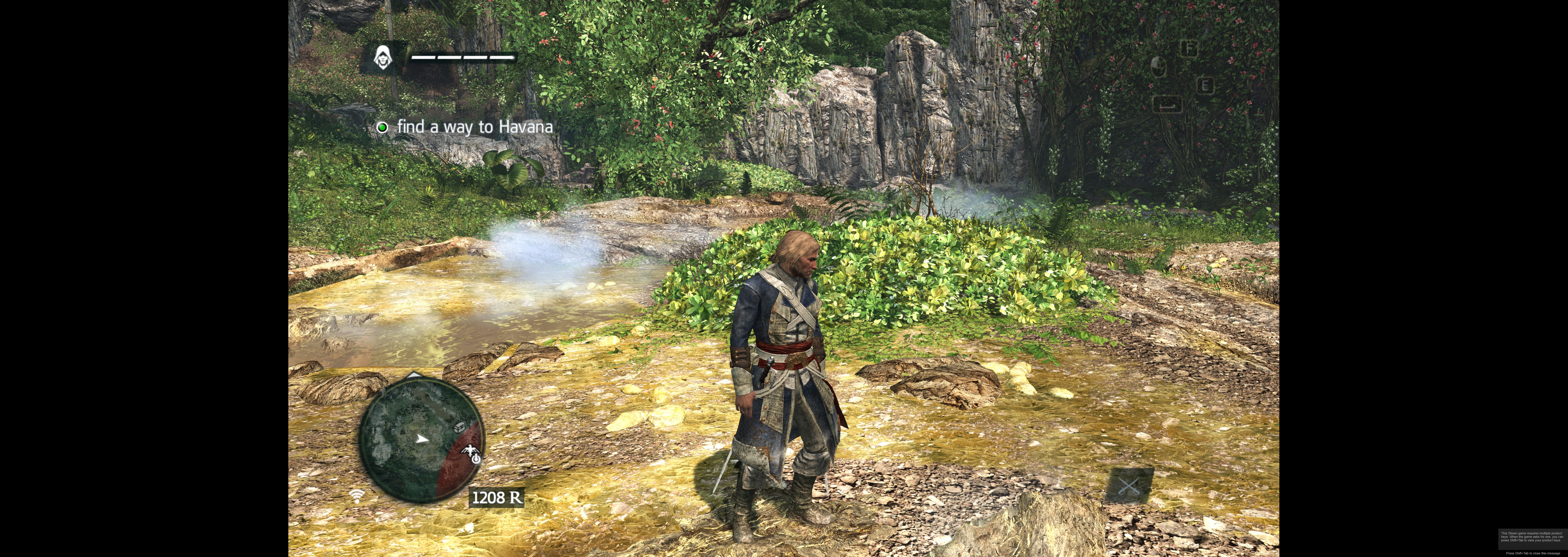 Assassin's Creed® IV Black Flag™2015-5-10-16-58-48.jpg